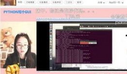 国产毛片直播,暗流涌动的网络直播生态